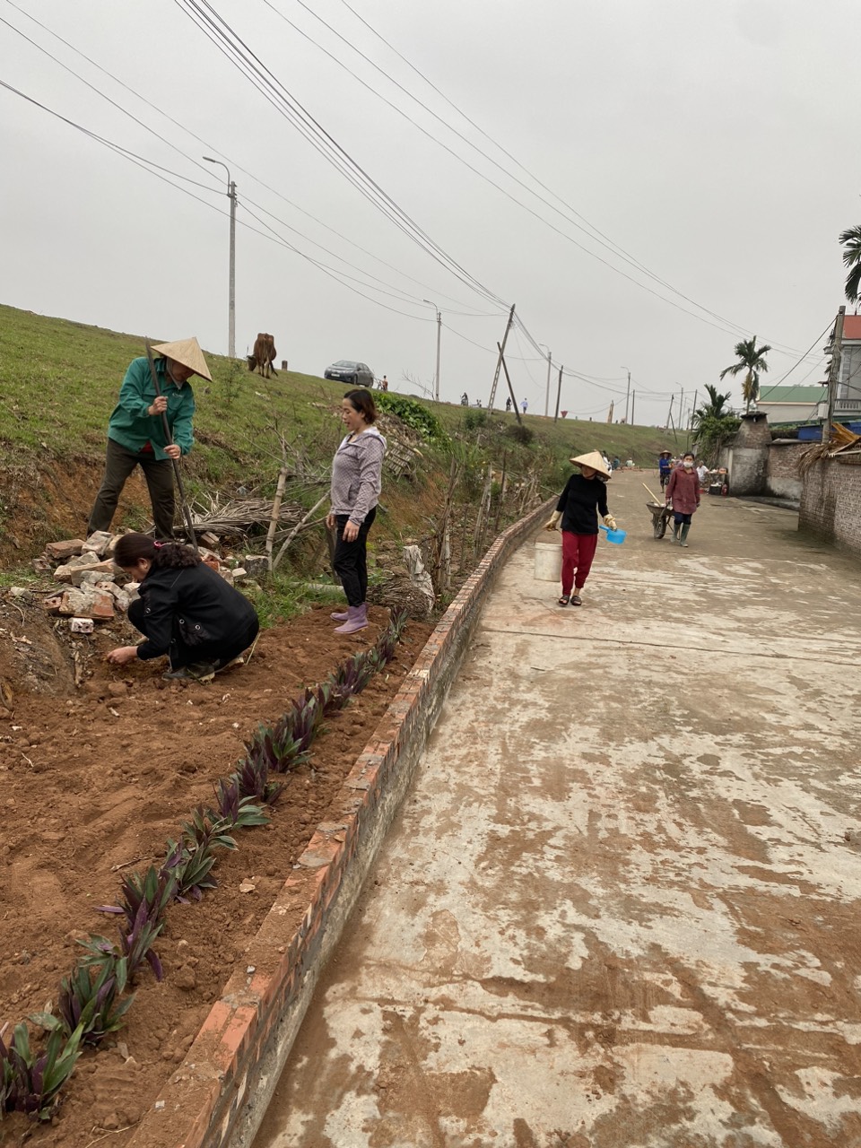 Quý 2 của cuộc thi, nhân dân thôn Cổ Đô quyết tâm xây dựng thôn, xóm, ngõ sáng, xanh, sạch, đẹp, an toàn