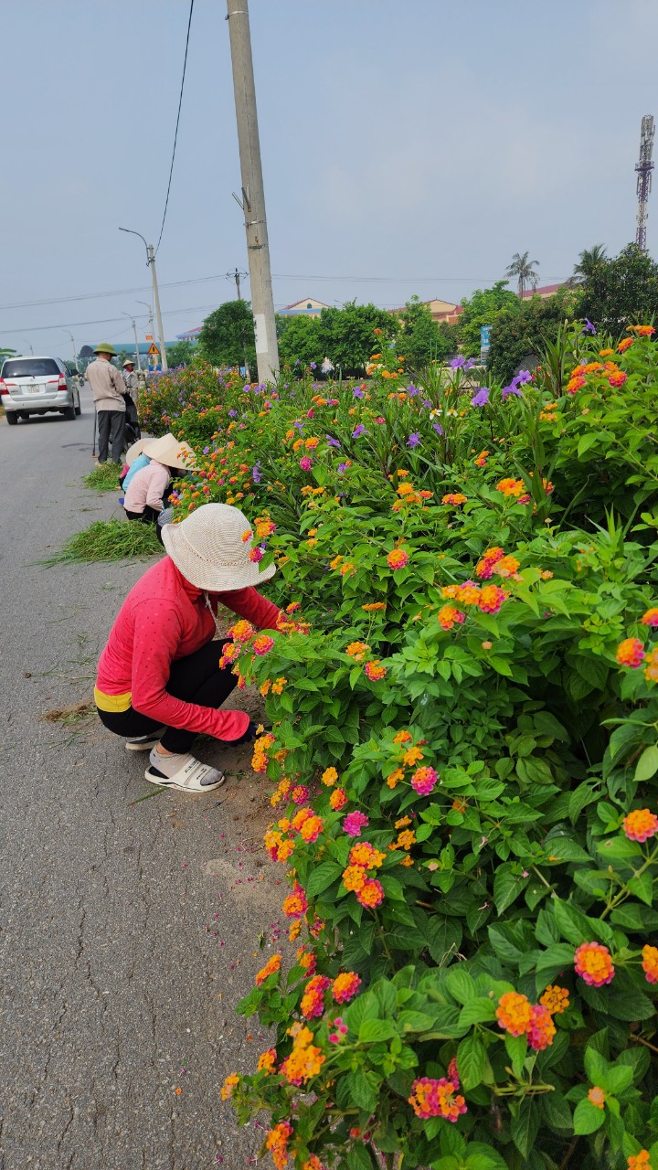 Nhân dân xã Cổ Đô, Hội Phụ nữ xã tổ chức chăm sóc đường cây, đường hoa trong tháng 6